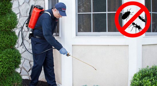 Babadağ Fare İlaçlama böcek ilaçlama ve haşere kontrolü — ilaclama-tr.com